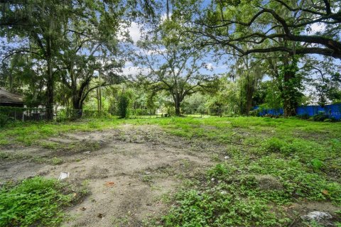 Terreno en venta en Plant City, Florida № 1307959 - foto 5