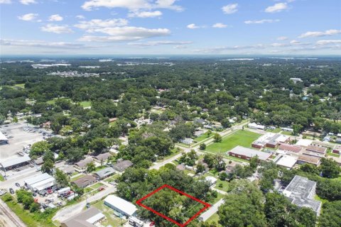 Terreno en venta en Plant City, Florida № 1307959 - foto 17