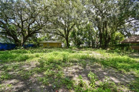 Terreno en venta en Plant City, Florida № 1307959 - foto 1