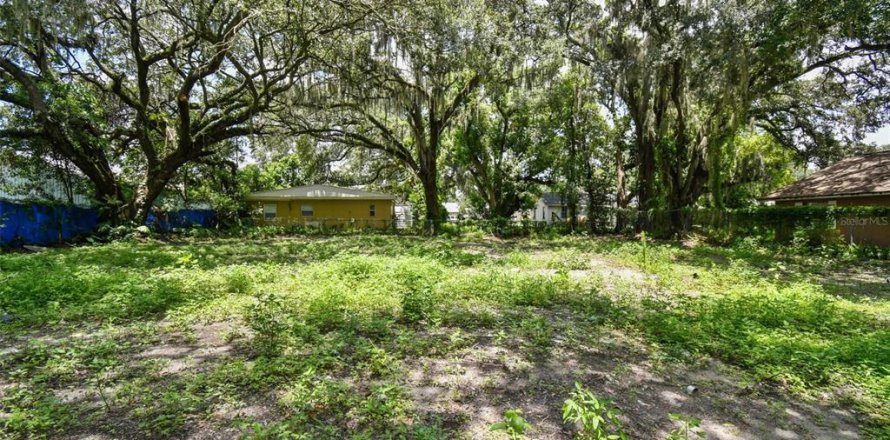 Terreno en Plant City, Florida № 1307959