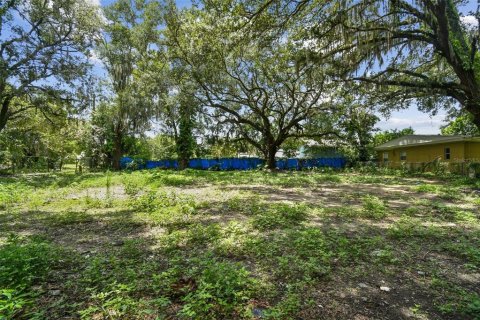 Terreno en venta en Plant City, Florida № 1307959 - foto 4