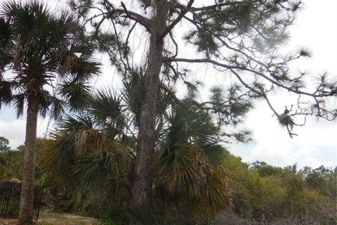Land in Rotonda, Florida № 2229069 - photo 3