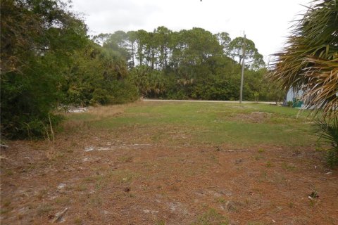 Land in Rotonda, Florida № 2229069 - photo 2