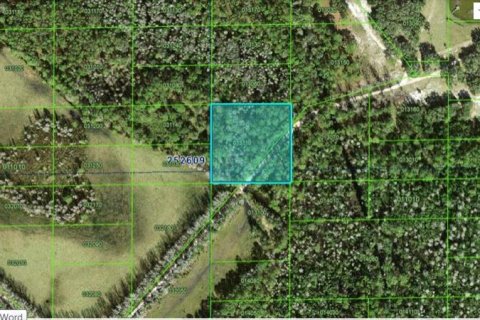 Terrain à Polk City, Floride № 2164047
