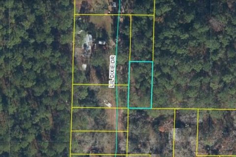 Land in Sanderson, Florida № 2161945