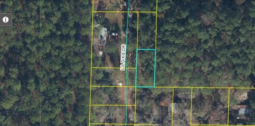 Land in Sanderson, Florida № 2161945