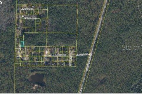 Land in Sanderson, Florida № 2161945 - photo 3