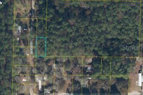 Land in Sanderson, Florida № 2161945 - photo 4