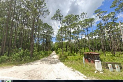 Land in Sanderson, Florida № 2161945 - photo 5
