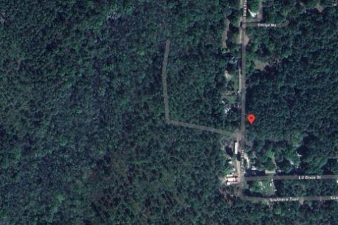 Land in Sanderson, Florida № 2161945 - photo 2