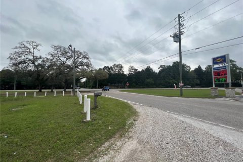 Immobilier commercial à vendre à Spring Hill, Floride: 62.43 m2 № 1919182 - photo 10