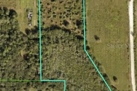 Terrain à vendre à Palmetto, Floride № 1106746 - photo 2