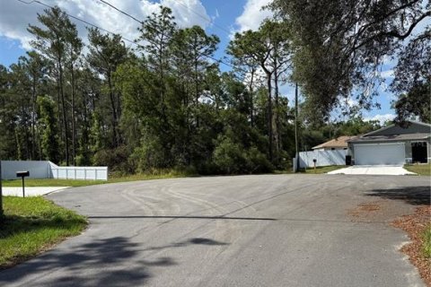 Land in Ocala, Florida № 2161577 - photo 15