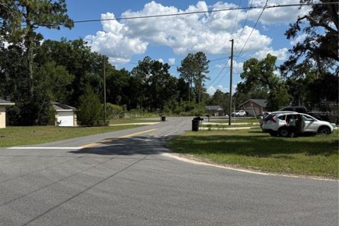 Land in Ocala, Florida № 2161577 - photo 17