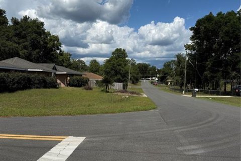Land in Ocala, Florida № 2161577 - photo 16