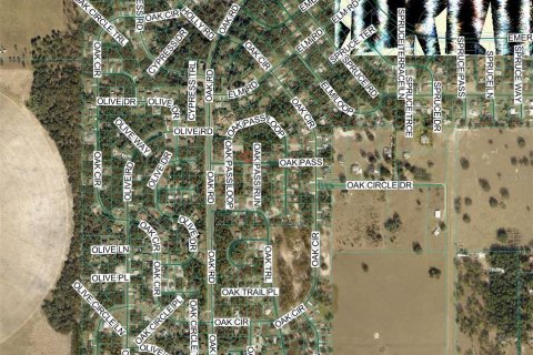 Land in Ocala, Florida № 2161577 - photo 3