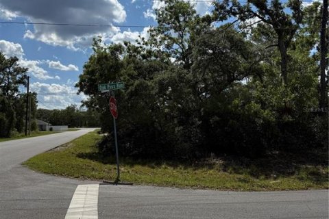Land in Ocala, Florida № 2161577 - photo 6