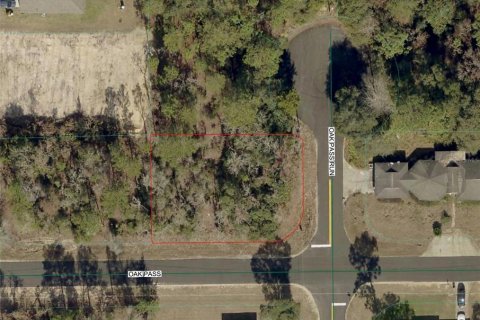 Land in Ocala, Florida № 2161577