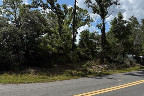 Land in Ocala, Florida № 2161577 - photo 13