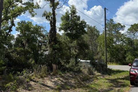 Land in Ocala, Florida № 2161577 - photo 8