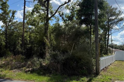 Land in Ocala, Florida № 2161577 - photo 10