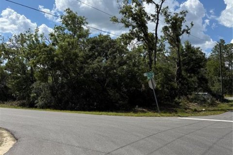 Land in Ocala, Florida № 2161577 - photo 11