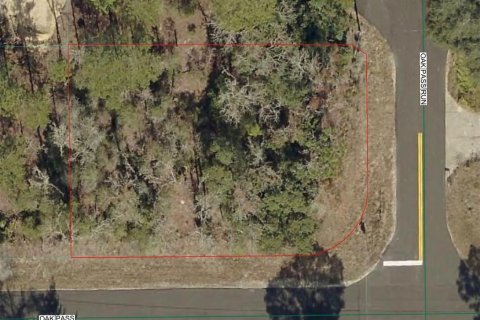 Land in Ocala, Florida № 2161577 - photo 2