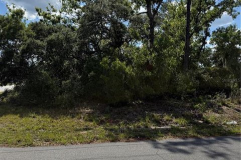 Land in Ocala, Florida № 2161577 - photo 12