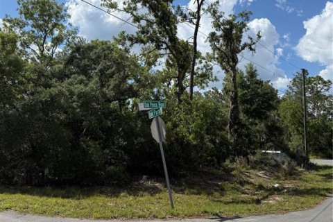 Land in Ocala, Florida № 2161577 - photo 4