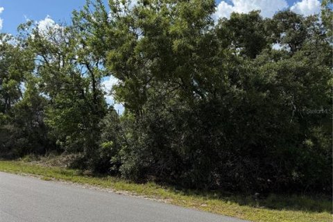 Land in Ocala, Florida № 2161577 - photo 9