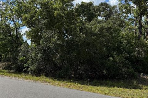 Land in Ocala, Florida № 2161577 - photo 5