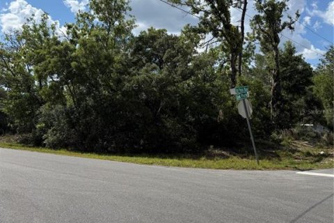 Land in Ocala, Florida № 2161577 - photo 7