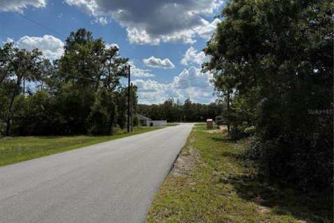Land in Ocala, Florida № 2161577 - photo 18