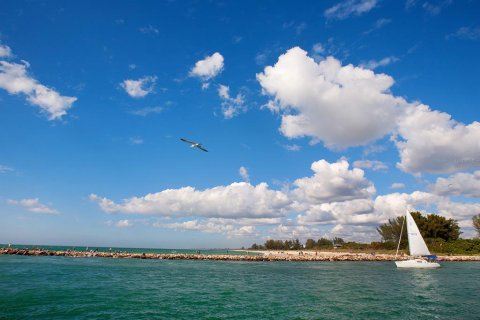 Land in Venice, Florida № 1686515 - photo 65