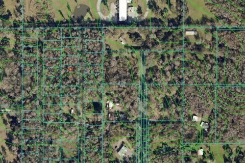 Land in Belleview, Florida № 1916422 - photo 3