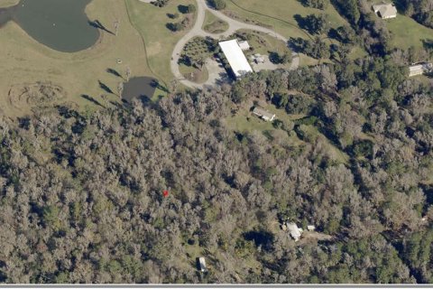 Land in Belleview, Florida № 1916422 - photo 1