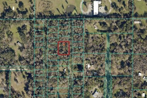 Land in Belleview, Florida № 1916422 - photo 4