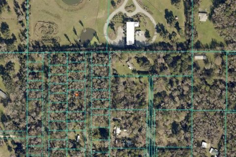 Land in Belleview, Florida № 1916422 - photo 2