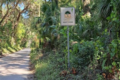 Land in Gainesville, Florida № 2108814 - photo 4