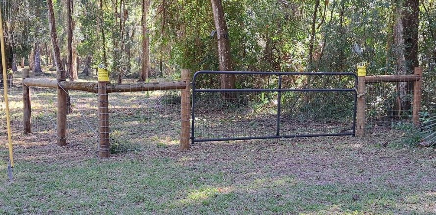 Land in Gainesville, Florida № 2108814