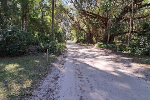 Land in Gainesville, Florida № 2108814 - photo 3