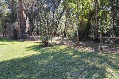 Land in Gainesville, Florida № 2108814 - photo 2