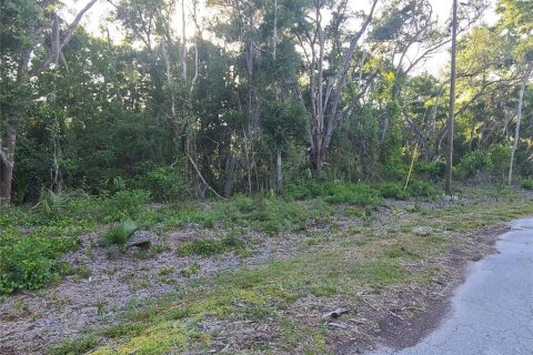 Terreno en venta en Crystal River, Florida № 1144912 - foto 4