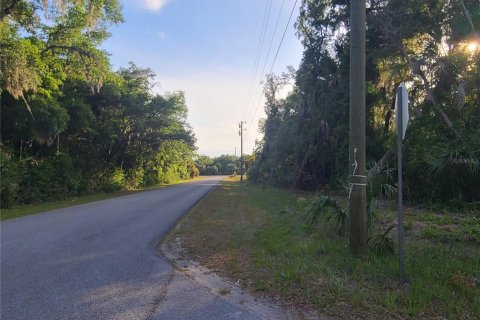 Terreno en venta en Crystal River, Florida № 1144912 - foto 5