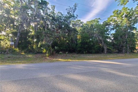 Terreno en venta en Crystal River, Florida № 1144912 - foto 6