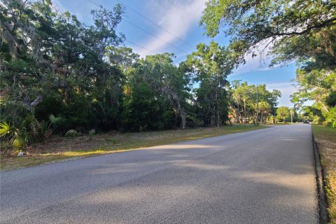 Terreno en venta en Crystal River, Florida № 1144912 - foto 3