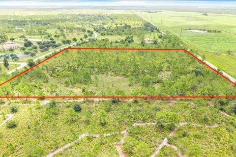 Terrain à vendre à Punta Gorda, Floride № 2197503 - photo 4