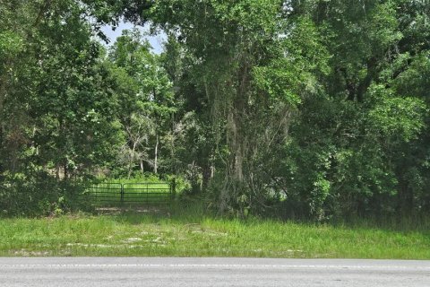 Land in Brooksville, Florida № 2213236
