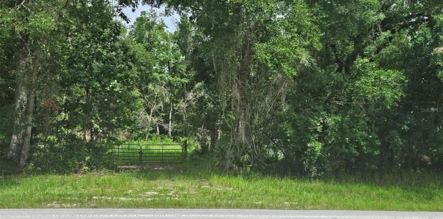 Terrain à Brooksville, Floride № 2213236