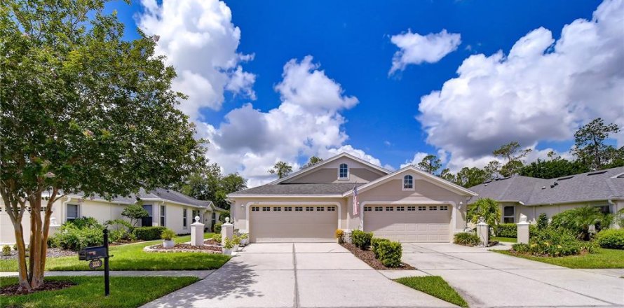 House in Wesley Chapel, Florida 3 bedrooms, 163.51 sq.m. № 2231400